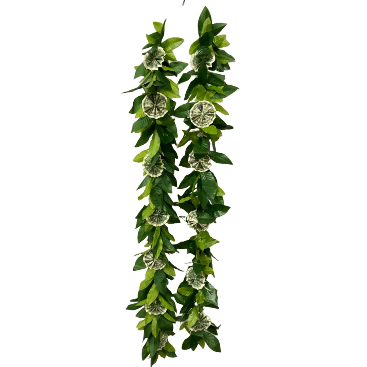 money tree lei Money Lei