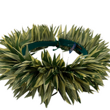 Ti Leaf Hip Band