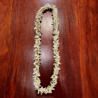 Hawaiian Jasmine Lei