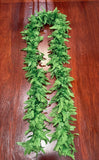 Palapalai Lei (75 inch)