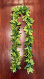 Maile Mokihana Lei 70'' (Artificial)