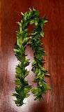 Maile Lei 70'' (Artificial)