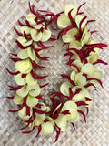 Plumeria and Spider Lily Lei