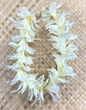 Plumeria and Spider Lily Lei