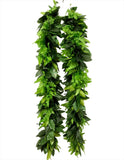 Deluxe Maile and Palapalai Lei (75 inch)